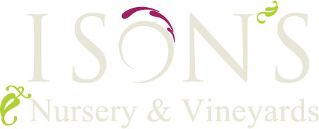 ison's nursery and vineyards logo