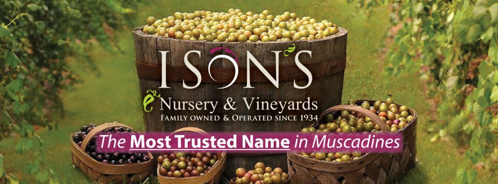 The Tradition of Ison’s - Ison's Nursery & Vineyard