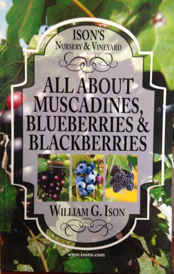 All About Muscadines by Bill Ison