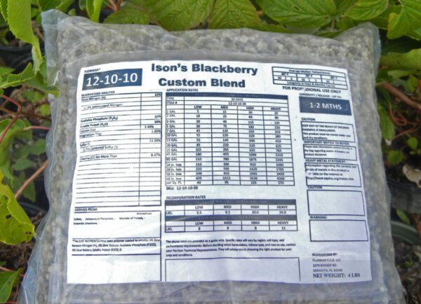 backberry-2_edited-1