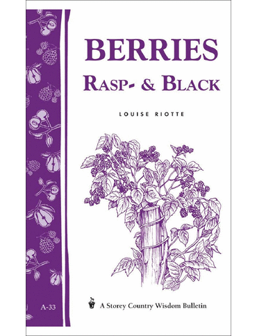 Berries, Raspberry and Blackberry