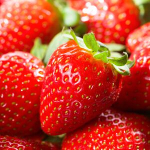 Ozark Beauty Strawberry Plant