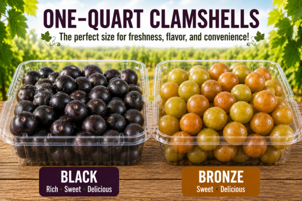Clamshells both colors Clamshells both colors
