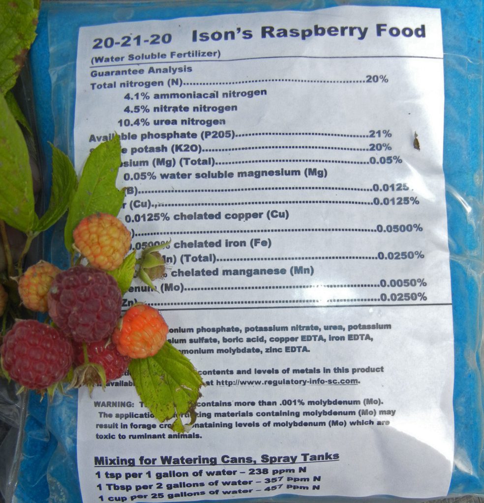 best natural fertilizer for raspberries