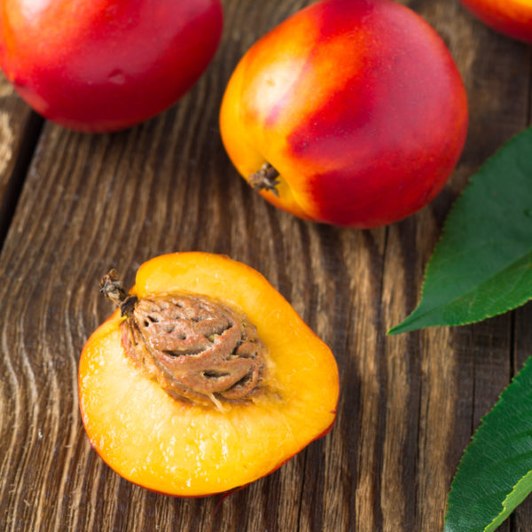 Fantasia Nectarine Tree I/O Ison's Nursery & Vineyard