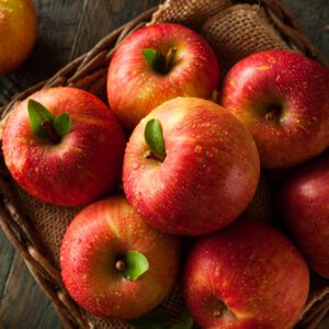 Fuji Apple Tree