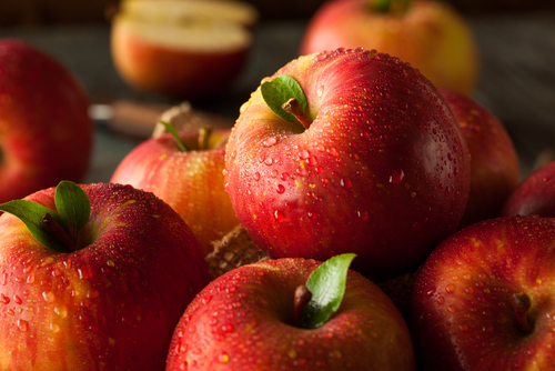 Fuji Apple Tree