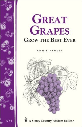 Great Grapes