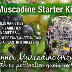 Muscadine Starter Package