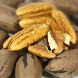 Sumner Pecan Tree