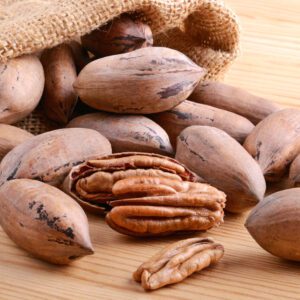 Kanza Pecan Tree