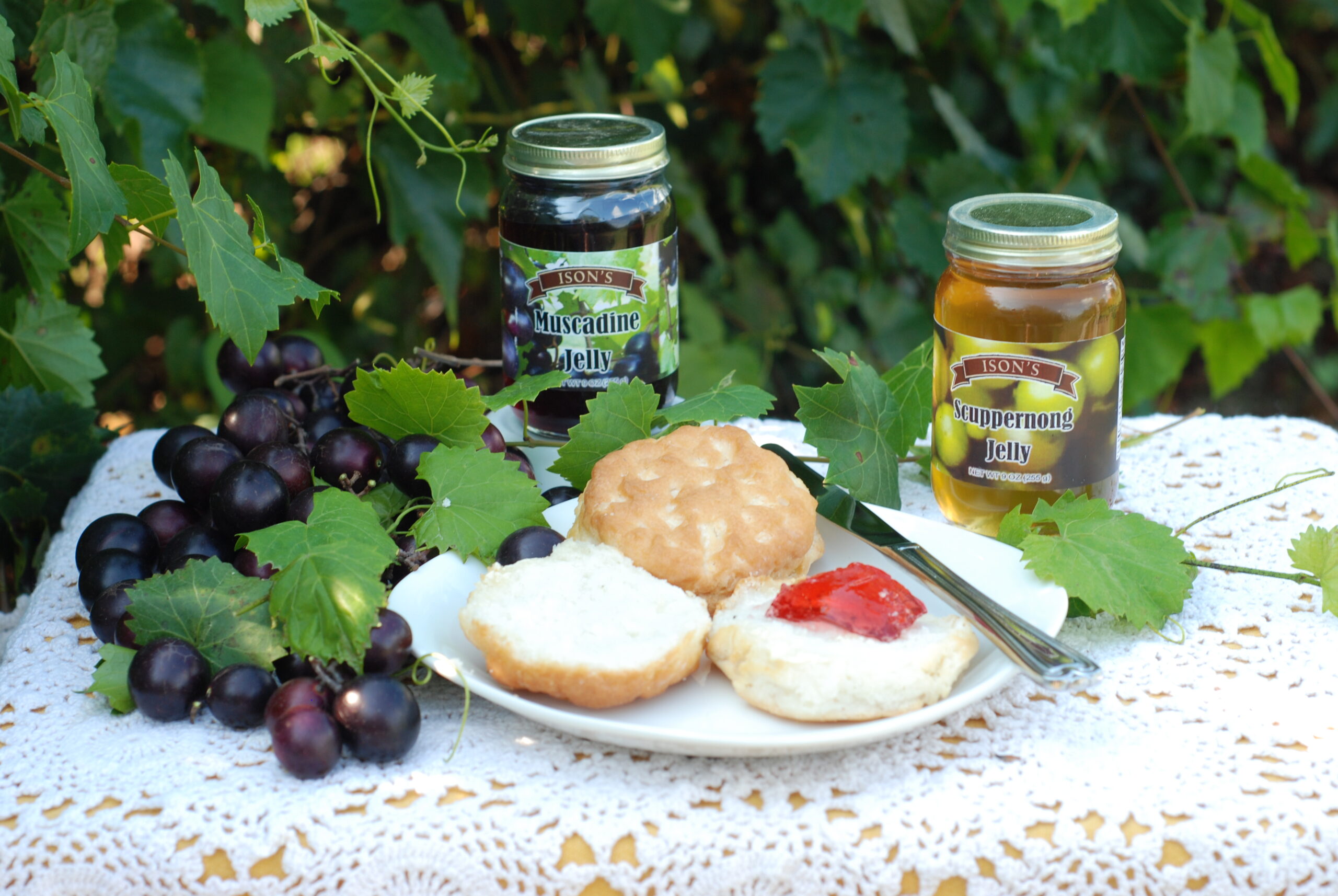 Delicious Muscadine and Scuppernong Jelly