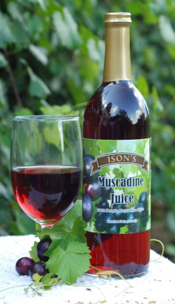 Ison’s Nursery & Vineyard | The Most Trusted Name in Muscadines