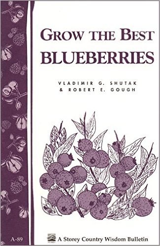 cwb-blueberries