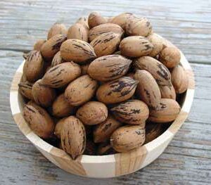 Pawnee Pecan Tree... Dwarf tree, early maturing. Large nuts with high yields. Zones 6-10.