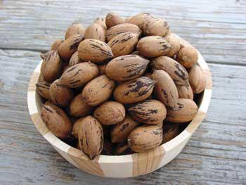 Pawnee Pecan Tree... Dwarf tree, early maturing. Large nuts with high yields. Zones 6-10.