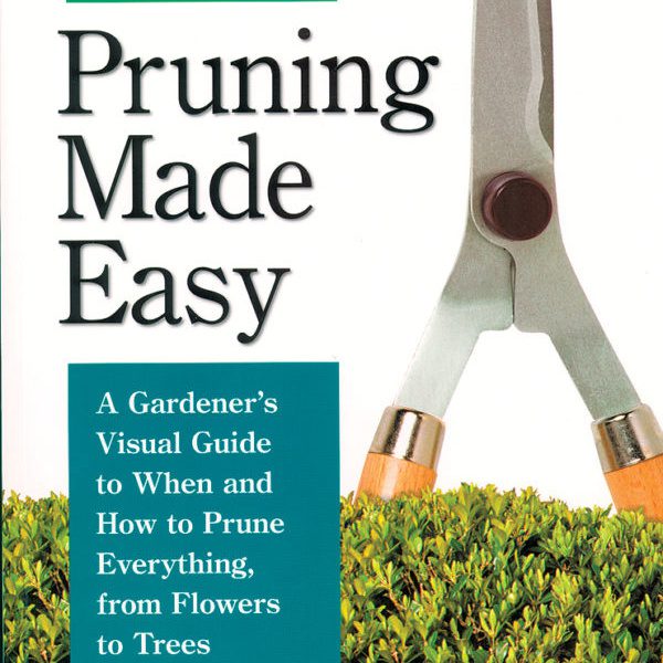 pruning-made-easy