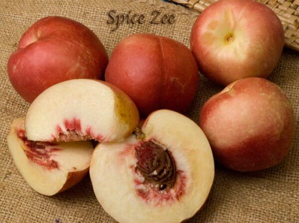 Spice Zee_Nectaplum. Delicious cross between a plum and nectarine. Great flavor. Beautiful pink blooms in the spring. 200 chill hours. Zones 6-10.