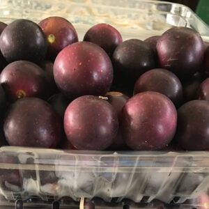 Fresh Fruit Muscadines