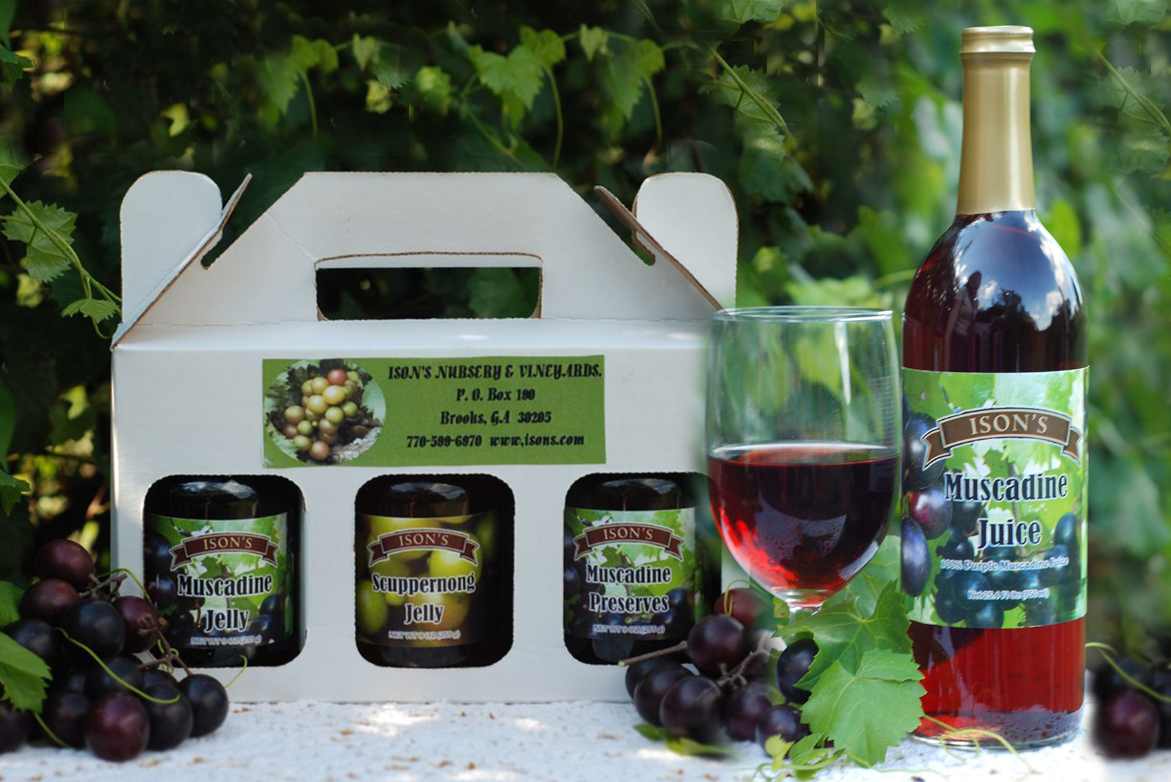 The Tradition of Ison’s Ison's Nursery & Vineyard