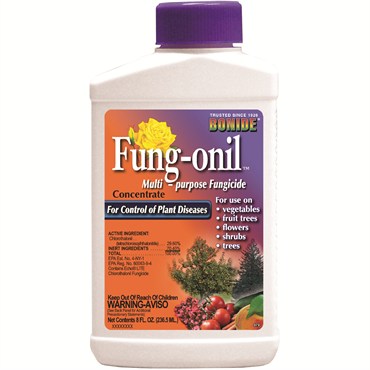 Bonide Fungonil Concentrate