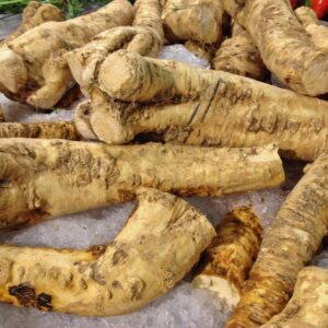 Horseradish