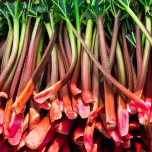 Rhubarb