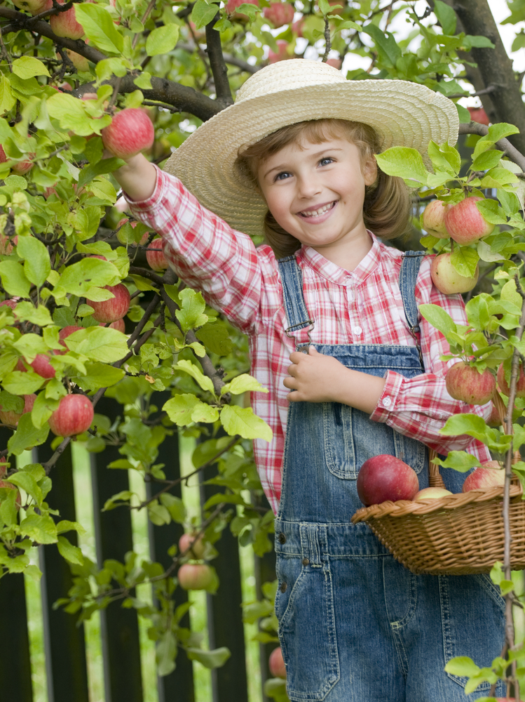 Backyard Orchard Package Ison S Nursery Vineyard