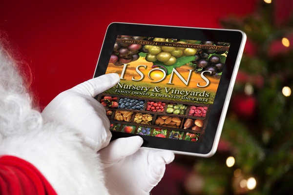 Gift Ideas