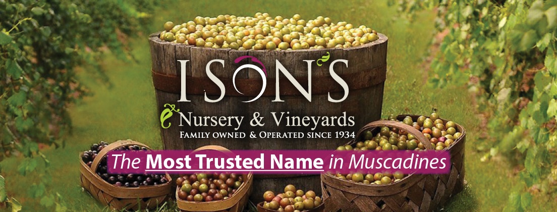 Most Trusted Facebook Banner