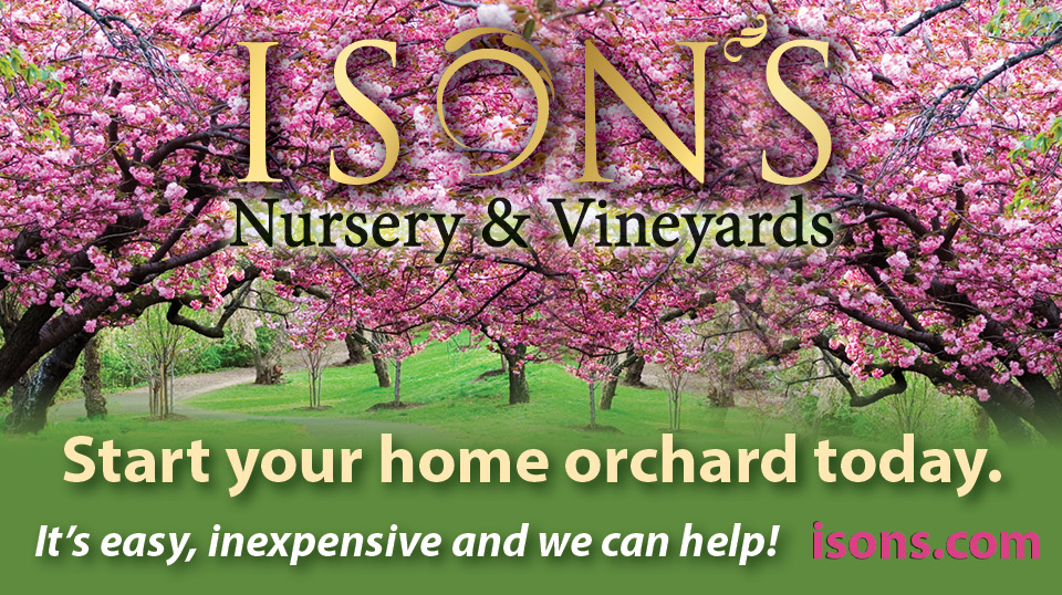 https://www.isons.com/wp-content/uploads/2017/02/Start-your-own-home-orchard.jpg