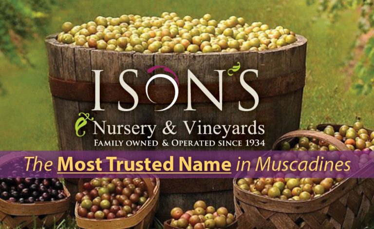 Ison’s Nursery & Vineyard | The Most Trusted Name in Muscadines