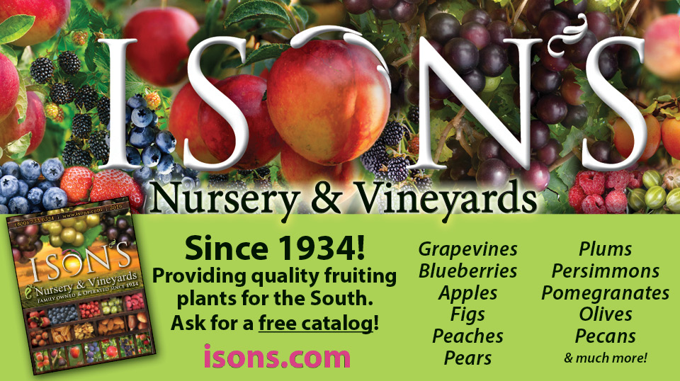 The Tradition of Ison’s - Ison's Nursery & Vineyard