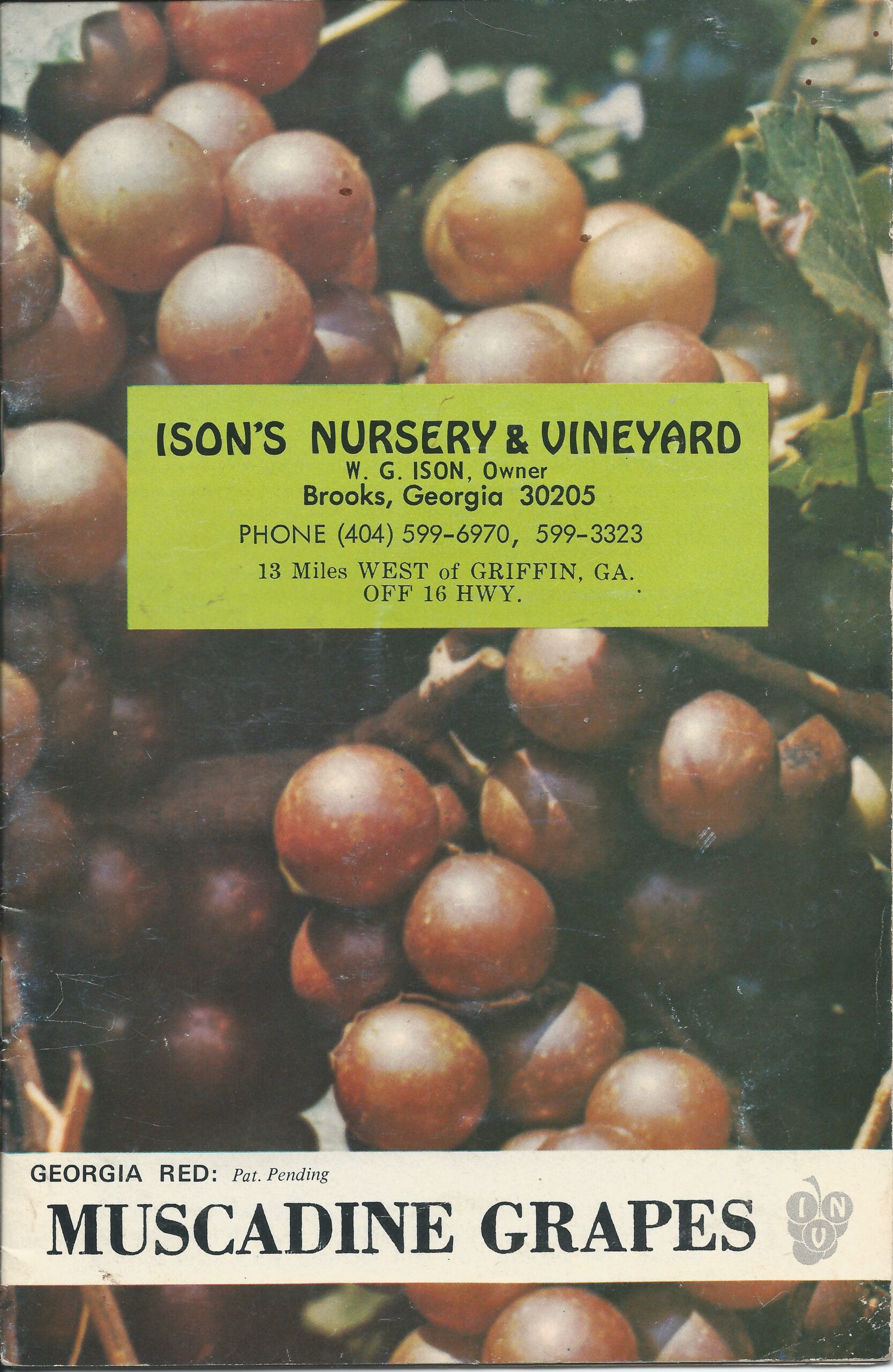 About Ison's Ison's Nursery & Vineyard
