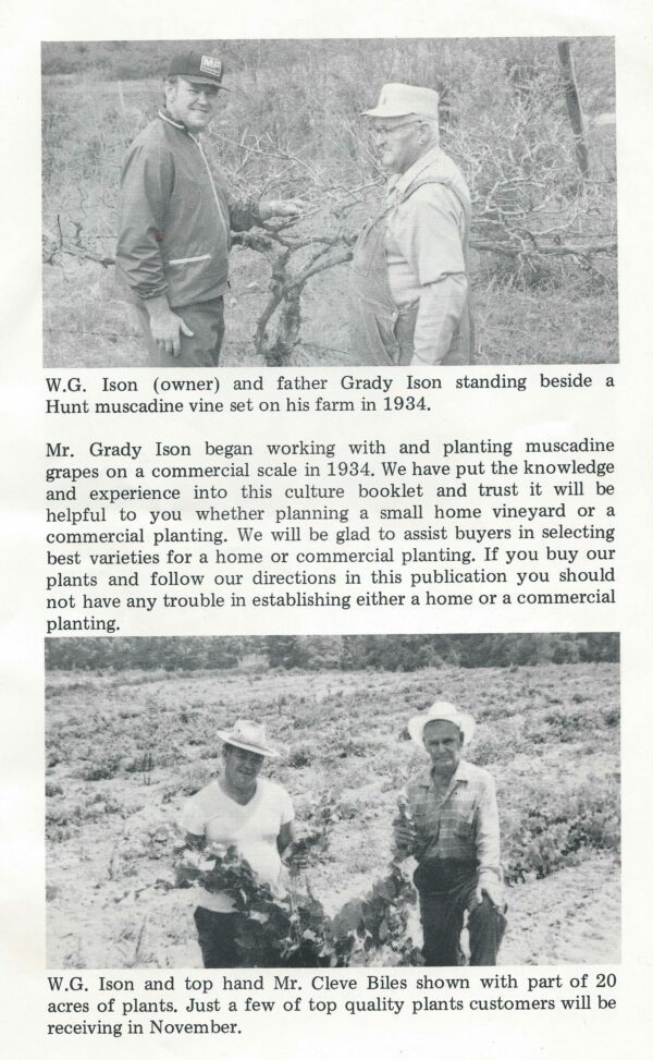 About Ison's Ison's Nursery & Vineyard