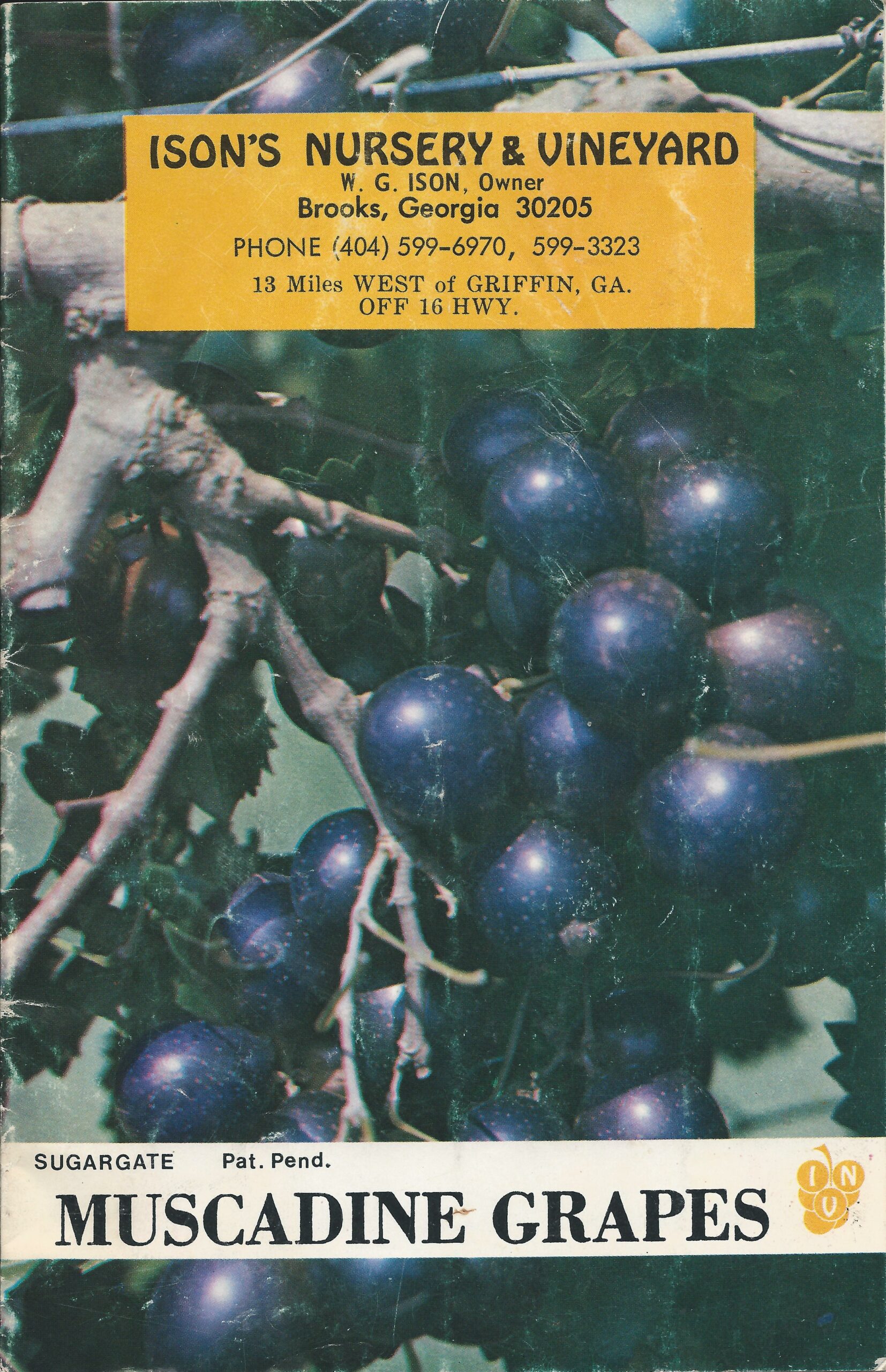 About Ison's Ison's Nursery & Vineyard