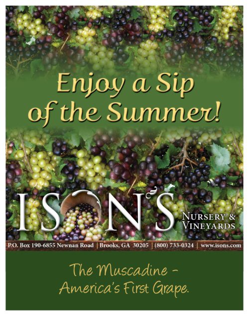 Muscadine Juice & Cider Gift Pack | Ison's Nursery & Vineyard