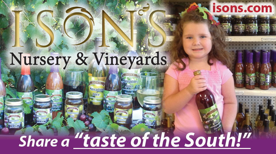 Isons Nursery And Vineyard The Most Trusted Name In Muscadines