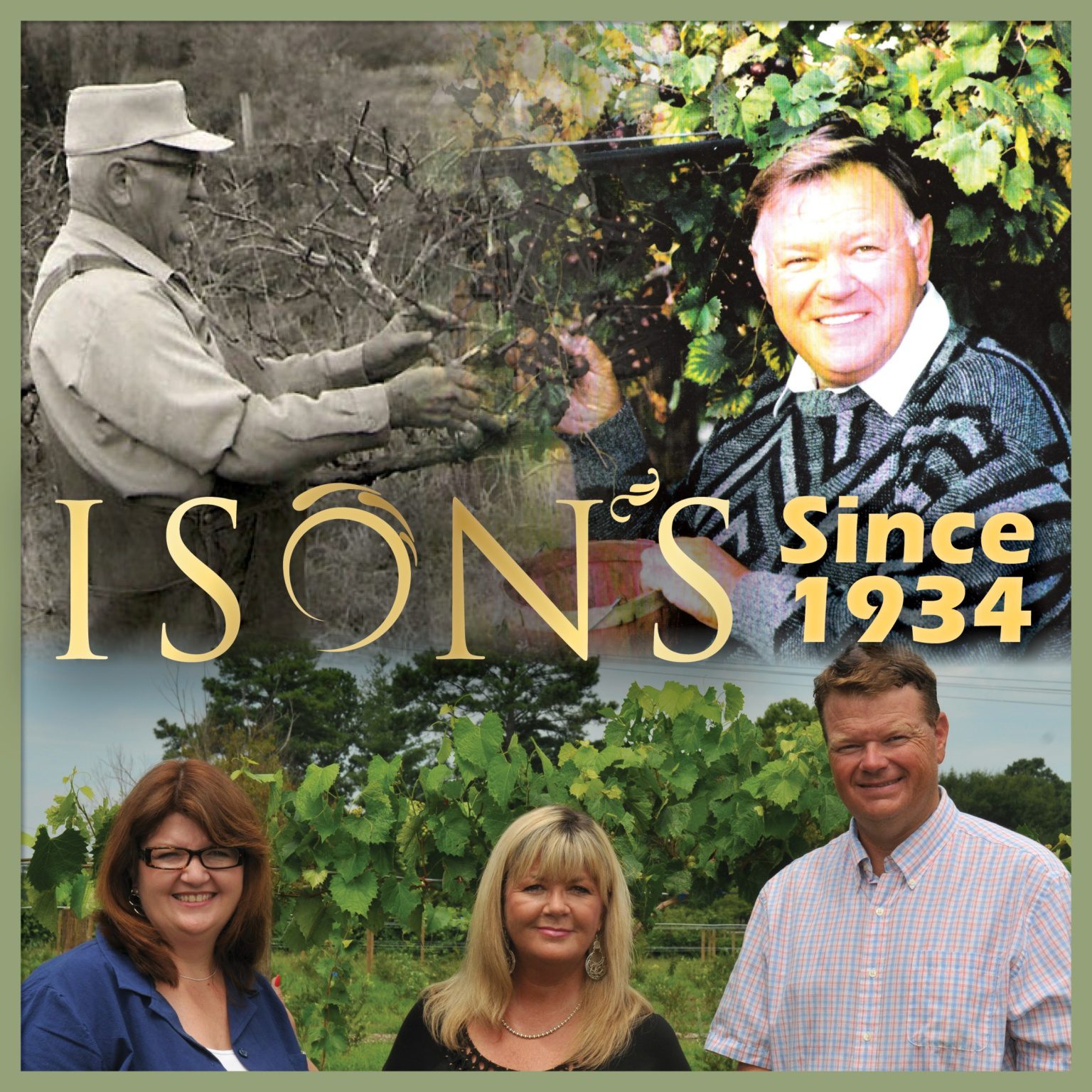 About Ison's Ison's Nursery & Vineyard