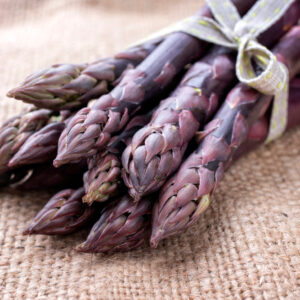 Purple Passion