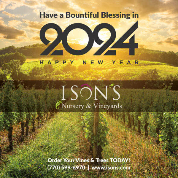 Ison’s Nursery & Vineyard The Most Trusted Name in Muscadines