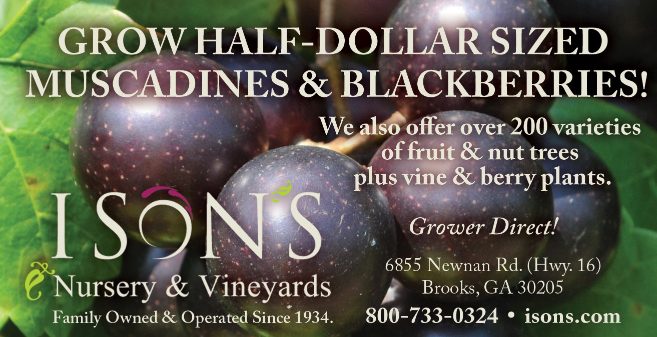 Ison’s Nursery & Vineyard | The Most Trusted Name in Muscadines