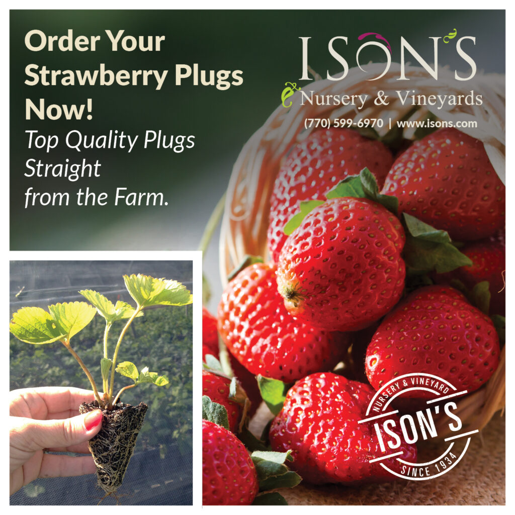 Ison’s Nursery & Vineyard | The Most Trusted Name in Muscadines