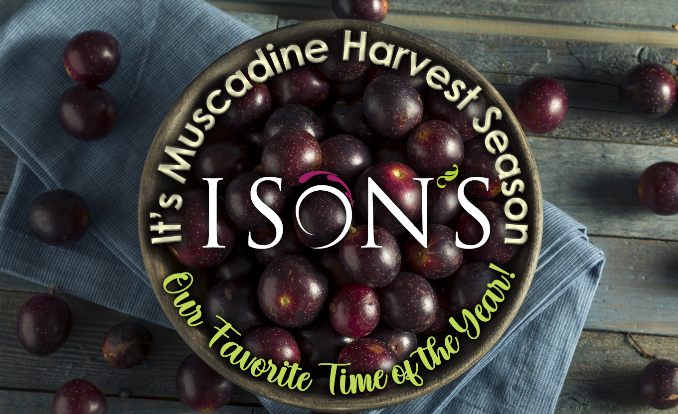 Ison’s Nursery & Vineyard The Most Trusted Name in Muscadines