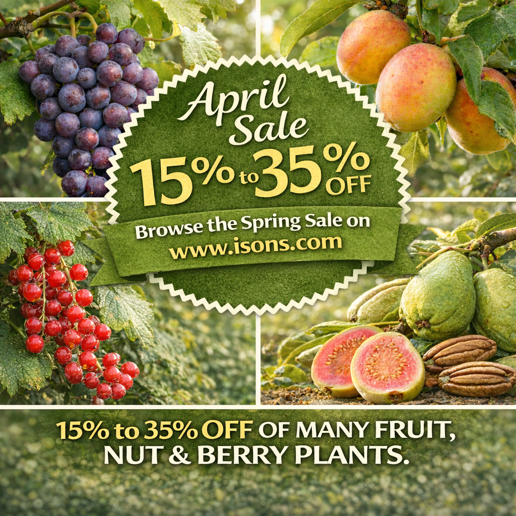 April sell 15 to 35 off ChatGPT Image Apr 9, 2026, 04_55_20 PM