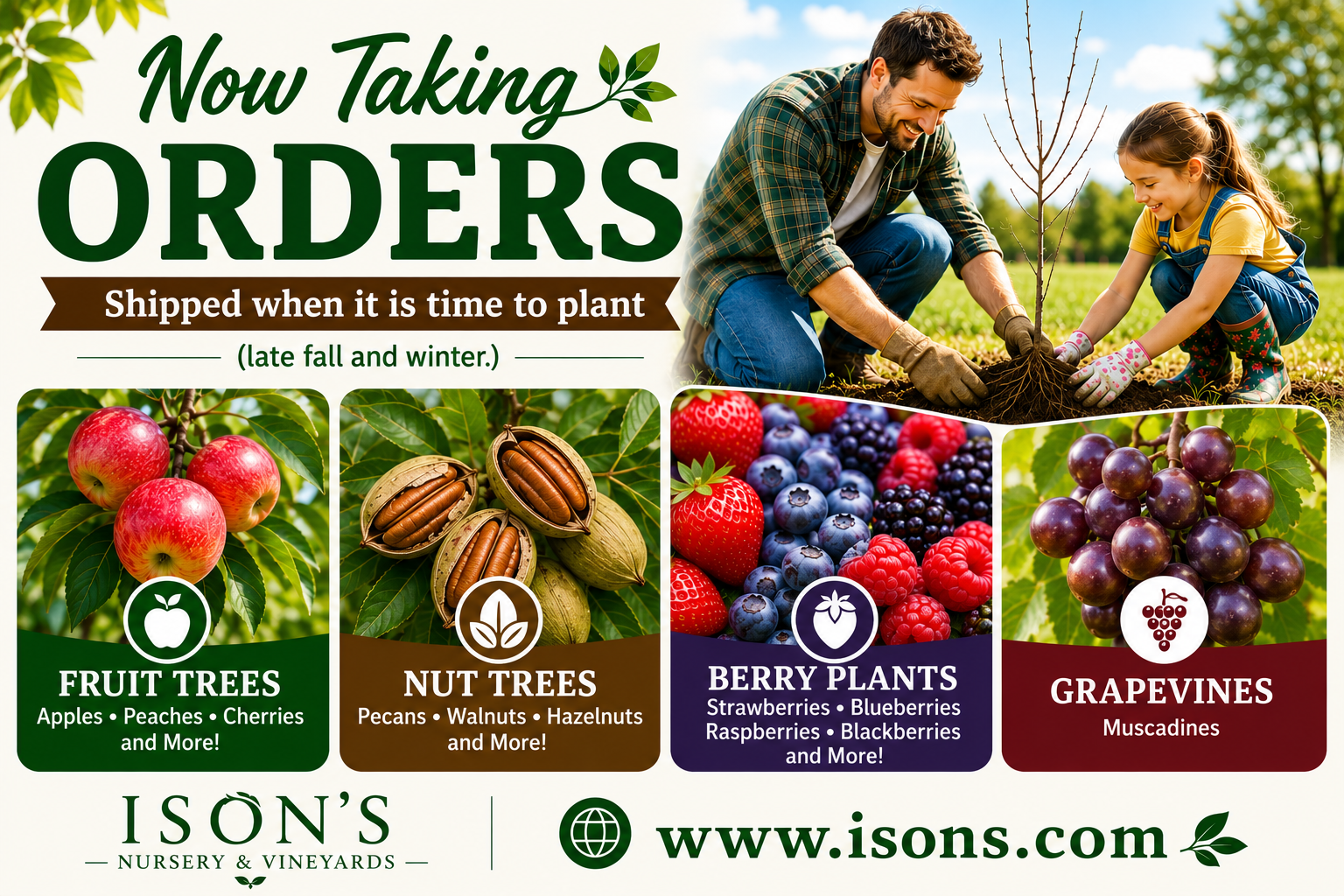 Plants trees berrys